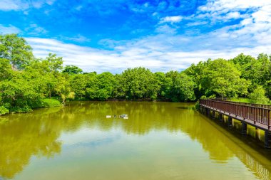 Ahşap köprü geçit Sri Nakhon Khuean Khan Park ve Botanik