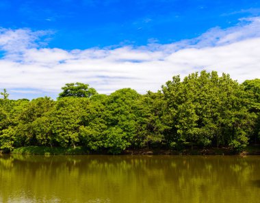 Ağaçlar, mavi gökyüzü ve göletler, Sri Nakhon Khuea bereket