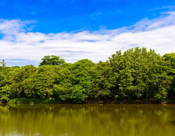 Banyaknya pohon, langit biru dan kolam di Sri Nakhon Khuea — Stok Foto