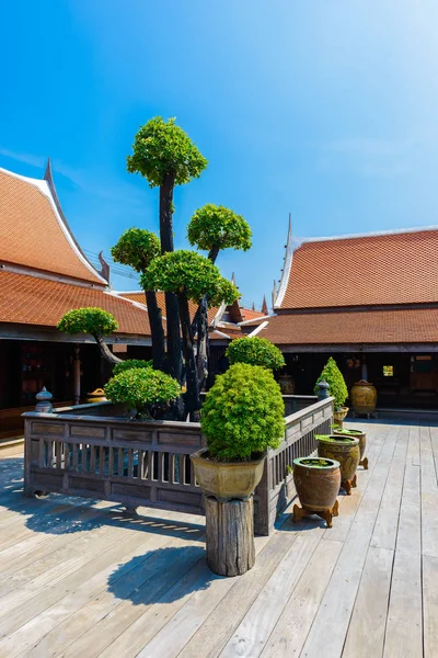 Bonsai drzewa na drewniane podłogi w stylu tajskim — Zdjęcie stockowe