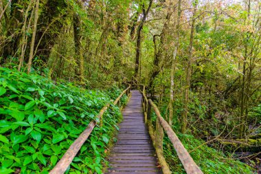 Ang Ka Luang doğa iz