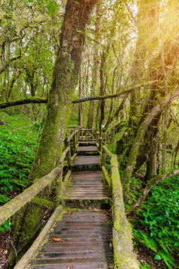 Ang Ka Luang doğa iz
