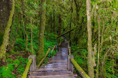 Ang Ka Luang doğa iz