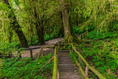 Ang Ka Luang doğa iz