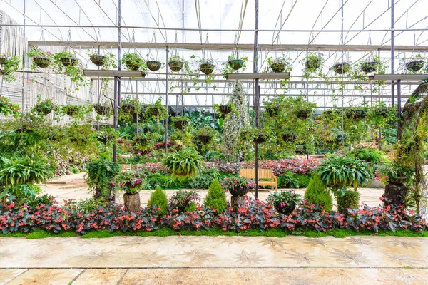 Av växthusgaser växter och blommor Show — Stockfoto