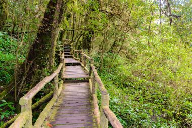 Ang Ka Luang doğa iz