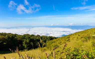 Ormanda lider Kew Mae Pan Trekking doğa iz iz 