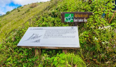 Ormanda lider Kew Mae Pan Trekking doğa iz iz 