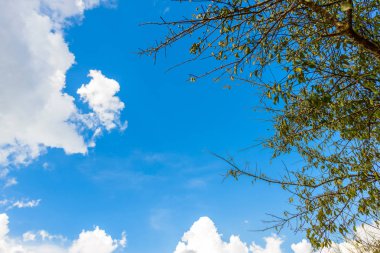 Bulutlu mavi gökyüzü