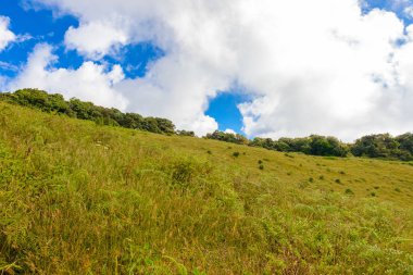 Kew Mae Pan Trekking doğa iz iz derin tropikal yağmur ormanları orman manzara ile lider. Seyahat arka plan kew mae pan Doi Inthanon Park, chiang mai, Tayland