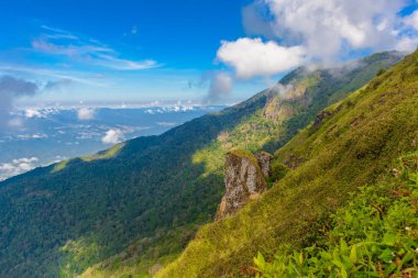 Kew Mae Pan Trekking doğa iz iz derin tropikal yağmur ormanları orman manzara ile lider. Seyahat arka plan kew mae pan Doi Inthanon Park, chiang mai, Tayland