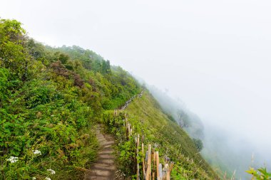 Kew Mae Pan Trekking doğa iz iz derin tropikal yağmur ormanları orman manzara ile lider. Seyahat arka plan kew mae pan Doi Inthanon Park, chiang mai, Tayland
