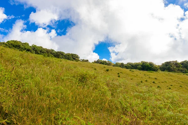Kew Mae Pan Trekking doğa iz iz derin tropikal yağmur ormanları orman manzara ile lider. Seyahat arka plan kew mae pan Doi Inthanon Park, chiang mai, Tayland
