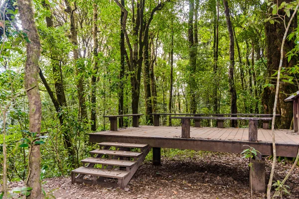 Brytpunkt Kew Mae Pan Naturstig Trekking Trail Som Leder Genom — Stockfoto