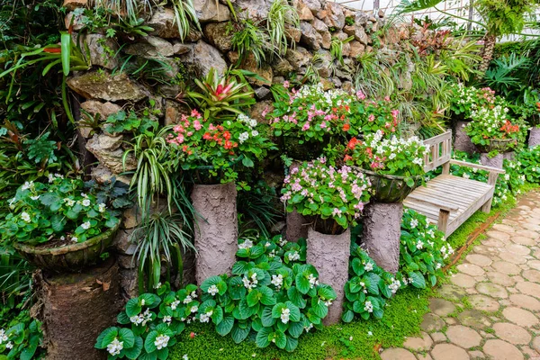 Sera bitki ve çiçekler göster çekim için arka plan — Stok fotoğraf
