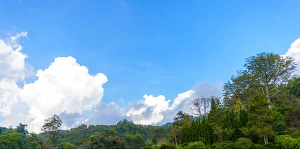 arka plan bulut ve ağaç, dağ ile mavi gökyüzüdür
