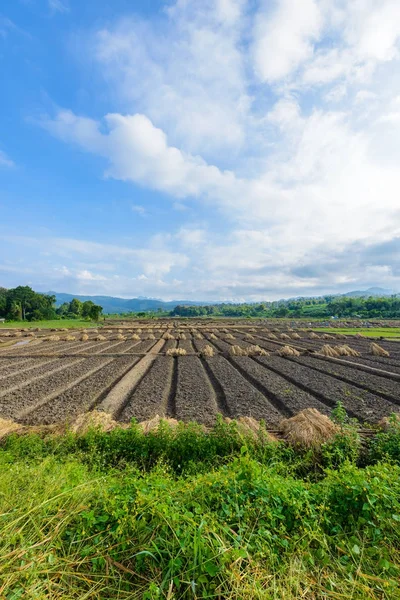 Vista del paisaje de una hortaliza agrícola recién cultivada — Foto de Stock
