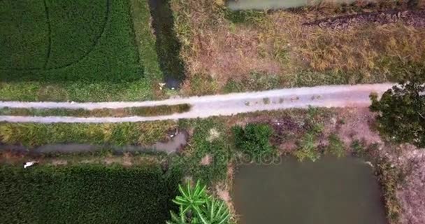 Vista Aérea Vista Superior Desde Cielo Mirando Hacia Abajo Mover — Vídeo de stock