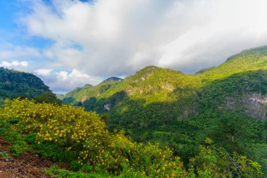 Angkhang Mountain, chiang mai, Tayland Sui Thang açısından görüntüleyin. Sabah sis deniz