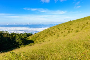 Kew Mae Pan Trekking doğa iz iz derin tropikal yağmur ormanları orman manzara ile lider. Seyahat arka plan kew mae pan Doi Inthanon Park, chiang mai, Tayland