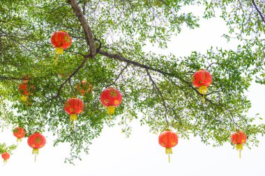 Yeni yıl festivalinde Çin fenerleri