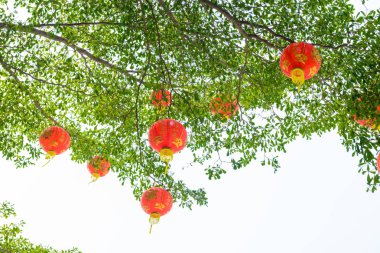 Yeni yıl festivalinde Çin fenerleri