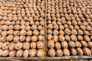 Kesme başıdır doğurmak için Hindistan cevizi parfüm