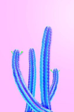 Kaktüs modası izole edilmiş. Sanat Tasarımı Minimum Stillife. Vanilya Tr