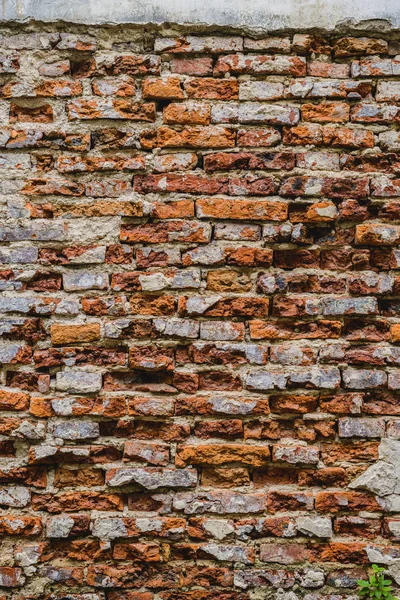 Vecchie rovine muro di mattoni con cemento incrinato — Foto Stock
