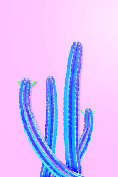 Odizolowany Kaktus Fashion. Art Design Minimalny Stillife. Wanilia Tr — Zdjęcie stockowe