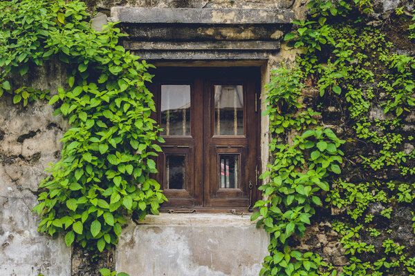 Background of old vintage traditional wooden window and ruins cement wall