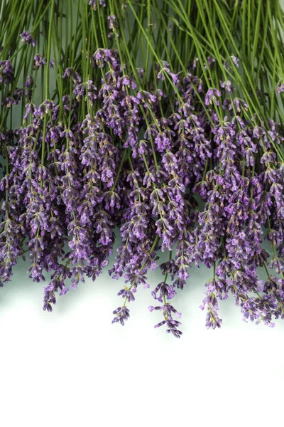 Bloeiende takken van geurige lavendel geïsoleerd op wit — Stockfoto