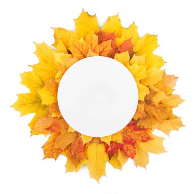 Beyaz arkaplanda izole edilmiş parlak sonbahar yapraklarının arka planında yuvarlak boş