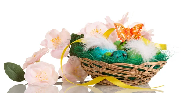 Colored Easter eggs in basket, flowers, ribbon and butterfly iso — Stock Photo, Image