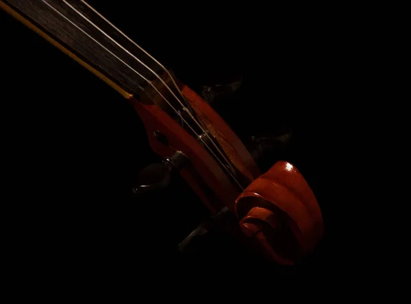 Dedo violino com cordas, isolado em preto — Fotografia de Stock