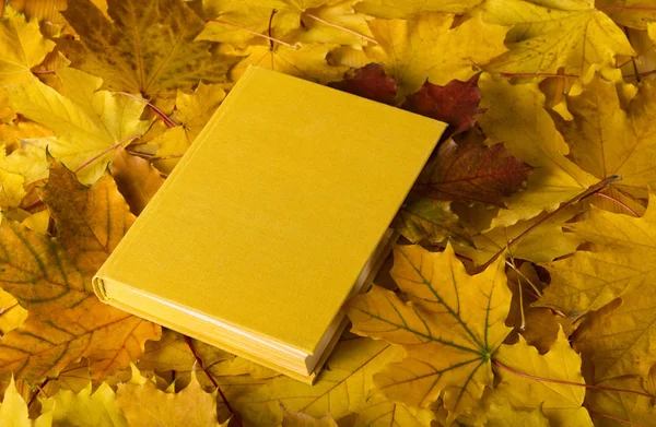 The book lies on the carpet of autumn leaves — Stock Photo, Image