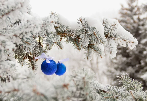 Two shiny blue Christmas ball hanging on snow branch — Stock Photo, Image