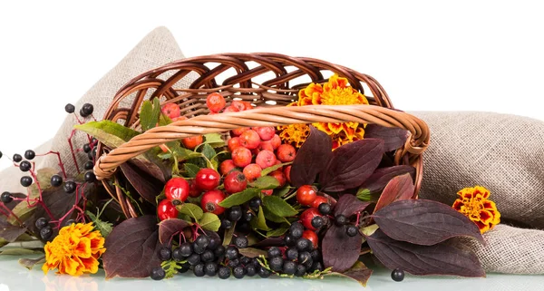 Basket full of rose hips, mountain ash, chokeberry and flowers lies on burlap, isolated on white — Stock Photo, Image