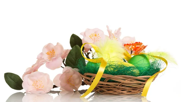 Uova di Pasqua in cesto e ramo con fiori isolati . — Foto Stock