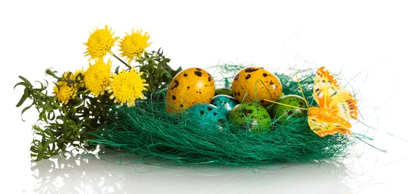 Œufs de Pâques colorés dans le nid, fleurs et papillon sur blanc . — Photo