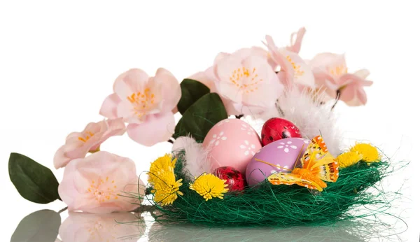 Uova di Pasqua e piume nel nido, ramo con fiori, farfalla — Foto Stock