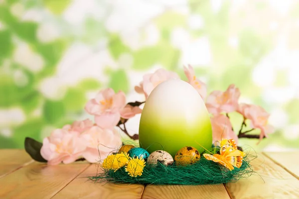 Easter eggs in nest, and one large branch with flowers. — Stock Photo, Image