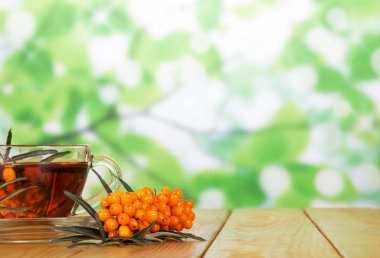 Deniz dikenli böğürtlen dalı ve soyut çay fincanı. 