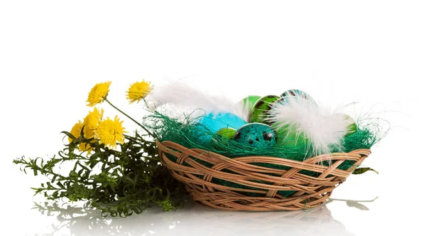 Oeufs de Pâques colorés dans le panier, herbes et fleurs isolées . — Photo