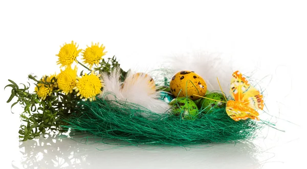 Velikonoční vajíčka v hnízdě, květiny, tráva a motýl na bílém. — Stock fotografie