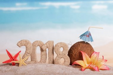 Yeni yıl yazıtları: 2018, hindistan cevizi ve saman. 