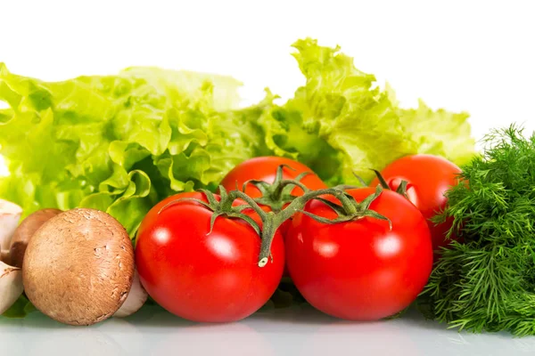 Tomates, champinhons, alface verde fresca e endro isolado — Fotografia de Stock