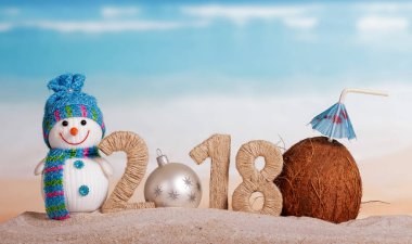 Yeni Yıl Yazısı 2018, Beyaz Noel Balosu