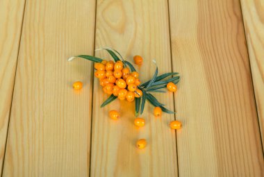 Olgun deniz dikenli böğürtlen ve yapraklarla dolu bir dal