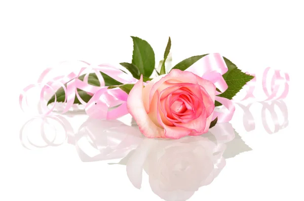 Rose with pink ribbon Valentine's Day isolated on white. — Stock Photo, Image